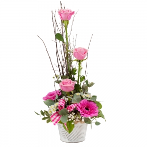  Order Drops of Pink flowers