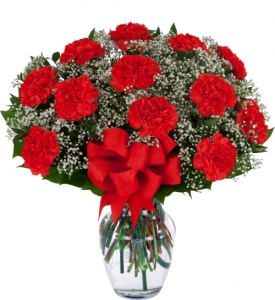  Order One Dozen Red Carnations flowers