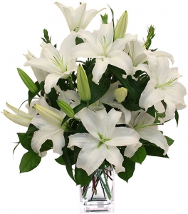  Order Purity flowers