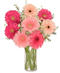  Order Gerb Appeal flowers