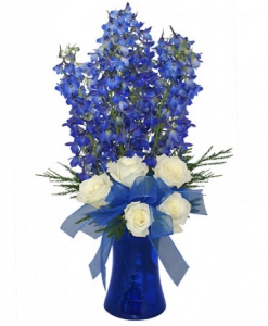  Order Brilliant Blue flowers
