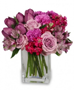  Order Precious Purples flowers