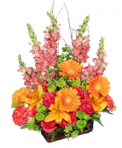  Order Brilliant Basket flowers