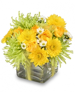  Order Lemon and Lime flowers