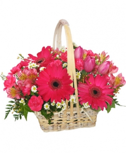  Order Best Wishes flowers