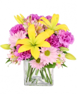  Order Spring Forward flowers