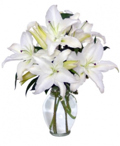  Order Casa Blanca Lilies flowers