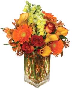  Order Autumn Adventure flowers