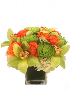  Order Exotic Greenness flowers