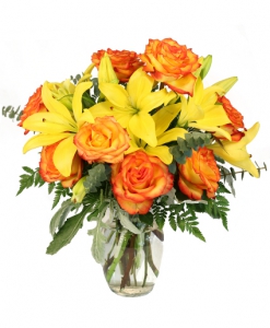  Order Vivid Amber flowers