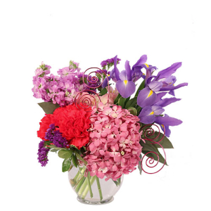  - Flowers make a sweet, traditional gift, but why not shake things up with Fresh Fariytale? Stunning pink hydrangea, blue iris, and hot pink carnations are the stars of this floral story. Take a walk on the royal side and send this stunning pink and pu...