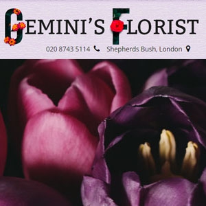 Geminis Florist