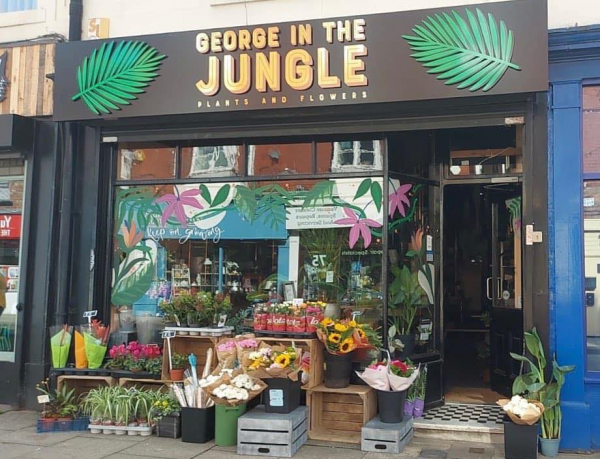 George in the Jungle