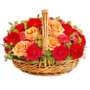  - A beautiful Rose and Gerbera Daisy Basket; the colours of the flowers in the basket.   