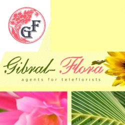 Gibral-Flora