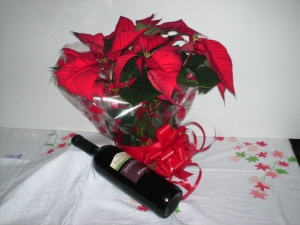 Gift Wrapped Poinsettia & Wine