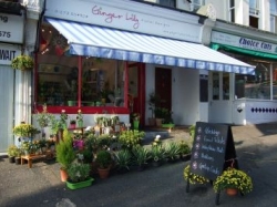 Ginger Lily Florists