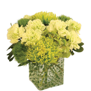  - The verdant green of summer is truly something to desire. Green Envy is filled with carnations, hydrangea, and spider mums in calming shades of green. For the mom or friend who would rather be outdoors than on the couch, bring the love of the garden ...