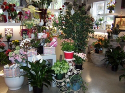 Gregg Florist - Peoria Heights, IL 61616