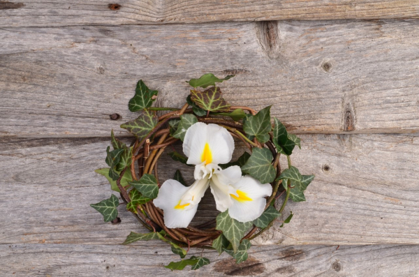 Harrisons Artisan Florist