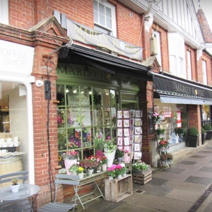 Haslemere Flowers
