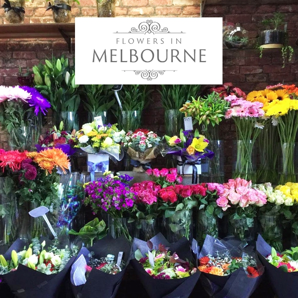 Send Flowers And Chocolates Melbourne / Same Day Flower Delivery