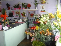 Hole in the Wall Florist