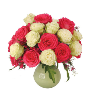  - This gorgeous design is elegant in it's own beautiful way! The white roses stand for honor while the pink roses stand for grace. These 18 stunning roses are a regal display and a delight to receive! Surprise a friend with something lively today.
