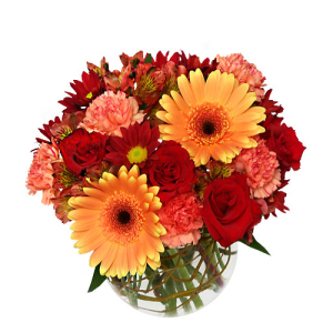  - This striking bouquet is bringing the heat! Featuring vibrant red 'Charlotte' roses, orange carnations, red alstroemeria, peach gerberas, and more, Hot & Spicy is sure to be a hit with everyone who sees it. Order this fiery bouquet for yourself or ...