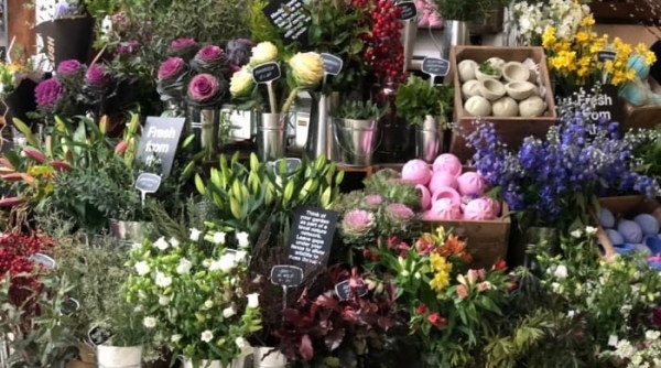 House Of Flowers