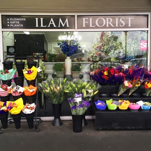 Ilam Florist