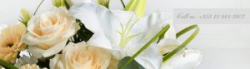 Ina Mcarthy flowers