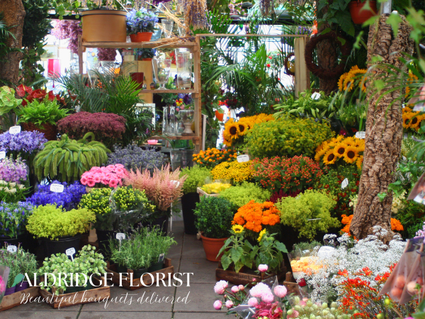 Jamie Christopher Floral Design