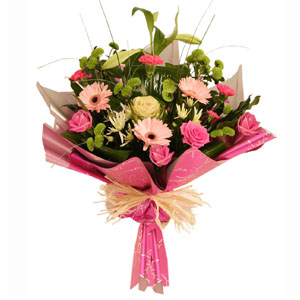 Loving Splendour In Pink