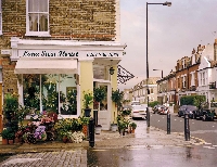 Luna Stein Florist