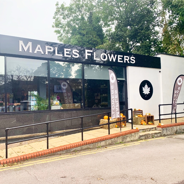 Maples Flowers