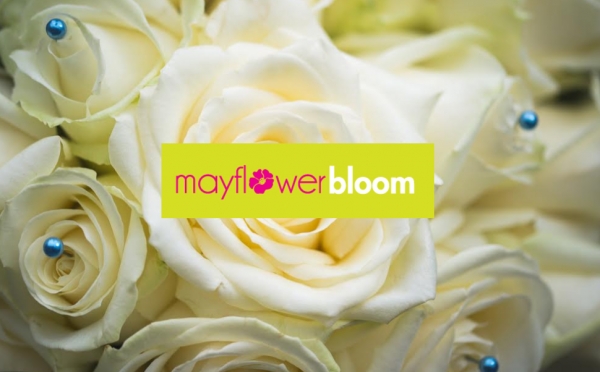 Mayflower Bloom Limited