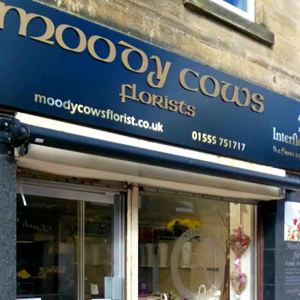 Moodycows Florist