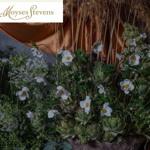MOYSES STEVENS FLOWERS TRADING CO. L.L.C