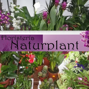 Naturplant