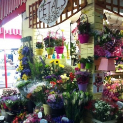 Petals Florist