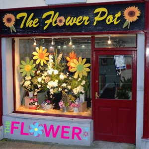 Phils Flower Pot