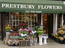 Prestbury Flowers