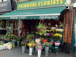 Primrose Florists
