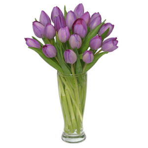  - This breathtaking bouquet is a showstopper! The sparkling and striking lavender tulips are an instant hit. A charming classic, Purple Amethyst will be glamorous in any room and for any occasion. Add a pop of color to your life with this lovely bouque...