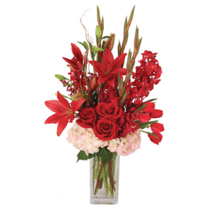  - Send something bold with this Ravishing Ruby arrangement! Full of beautiful red blooms, this bouquet is radiating with love and will leave them wanting more. With light pink hydrangea, burgundy astilbe, red gladiolus, roses, tulips, and so much more,...