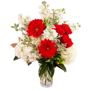 - This fetching bouquet is sure to spice up their winter! The frosty white stalk and pure white hydrangeas pair perfectly with the dazzling red roses and radiant red gerberas, making Red Frost a season showstopper. Captivating and classy, they'll love...
