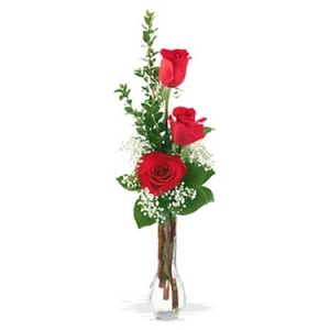 Red Roses Bud Vase #P0503