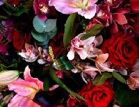 Royal Bouquet