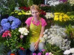 St Leonards Florists